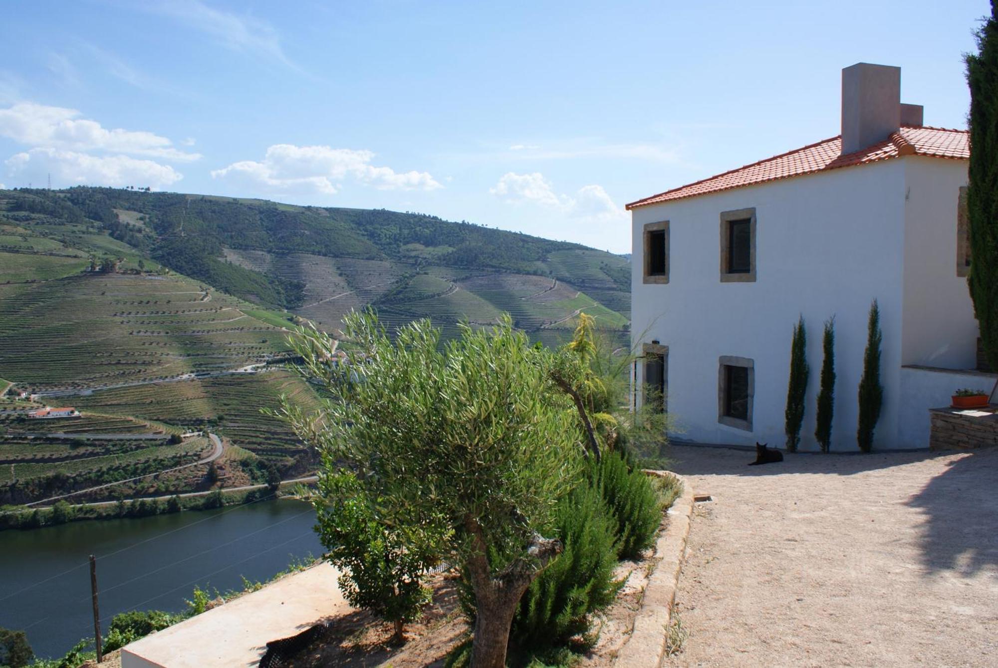 Quinta Da Veiga Bed & Breakfast Covas do Douro Exterior photo